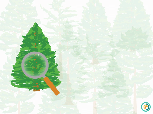 Treetionary